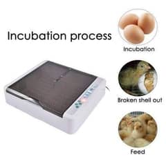 we deal in all kind of incubator brooder imported incubator