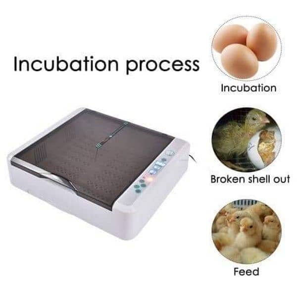 we deal in all kind of incubator brooder imported incubator 0