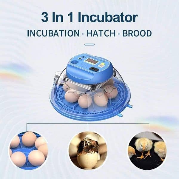 we deal in all kind of incubator brooder imported incubator 6