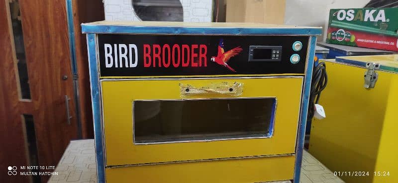 we deal in all kind of incubator brooder imported incubator 11