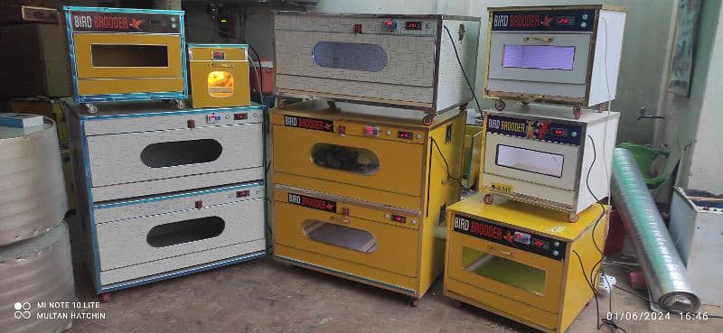 we deal in all kind of incubator brooder imported incubator 14