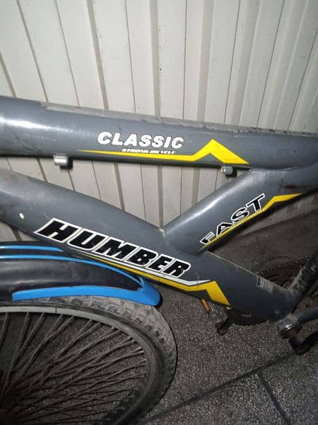 famous brand hammer cycle for sale 2