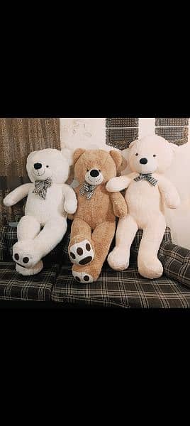 teady bears available imported premium quality 4