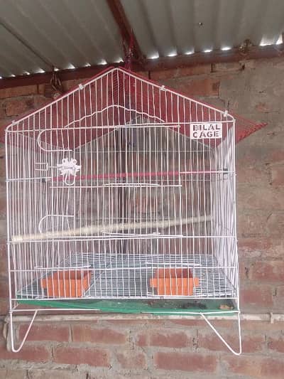 Cage large size