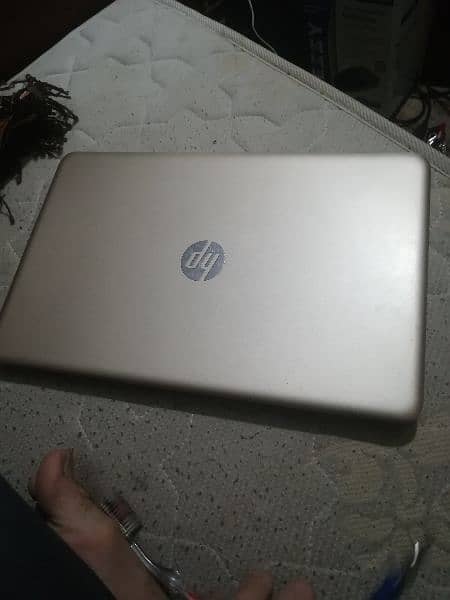 hp pavilion gold edition price is final 1