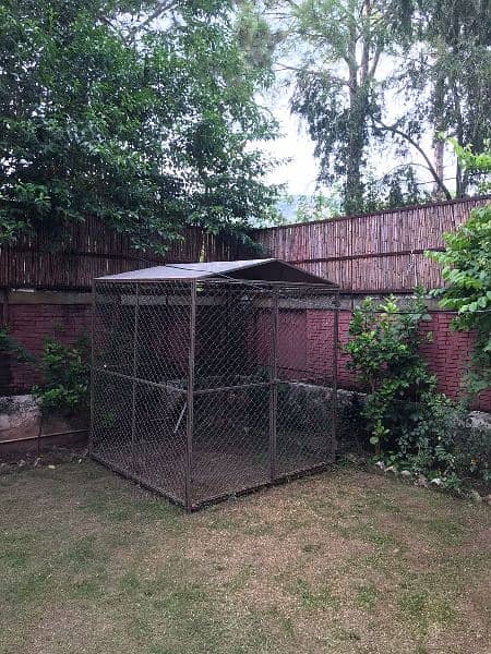 dog cage for sale 1