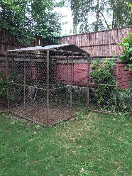 dog cage for sale 1