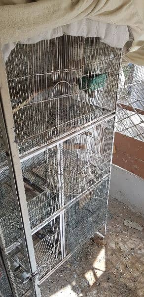 shirazi pegions end  3 . . iron havey cages for sale. . 2