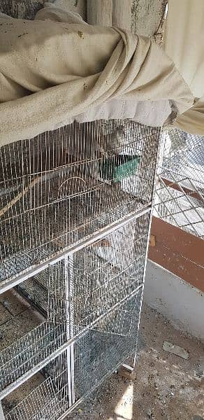 shirazi pegions end  3 . . iron havey cages for sale. . 3