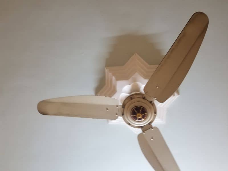 4 fans new conditions full copper mai hai 3