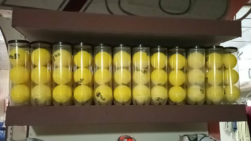 24Pcs Tennis Balls Sports Outdoor Training Play Fun Cricket Beach Dog 15