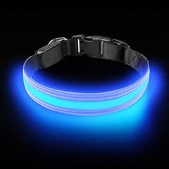 PetIsay Ultimate LED Dog Collar - USB C Rechargeable c102