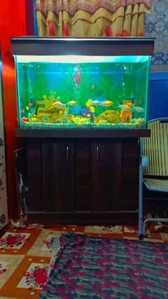 Aquarium Mash Allah New Jasa With Fishes. .