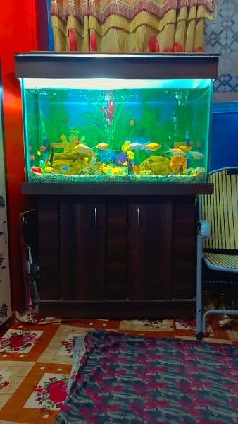 Aquarium Mash Allah New Jasa With Fishes. . 0