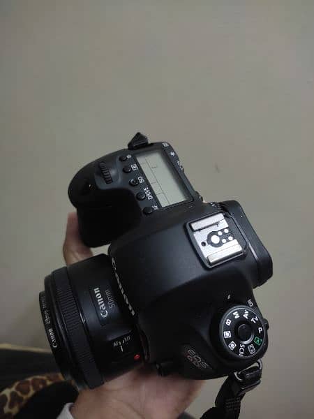 Canon 6D + 50 mm f/1.8stm Lens 1