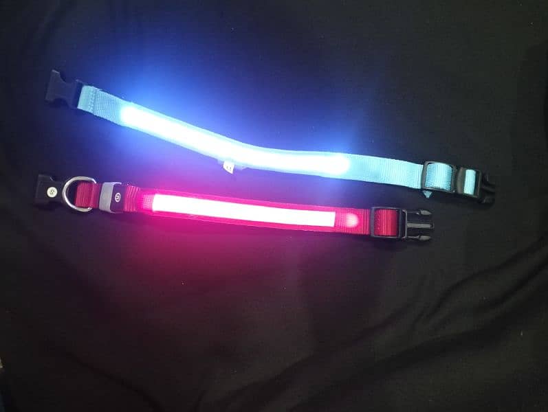 LED Glowing Dog Collar 1