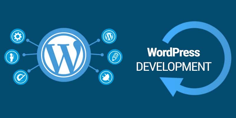 WordPress Developer 0