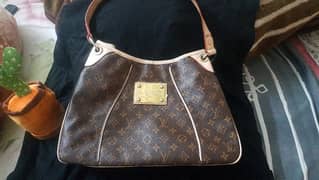 Louis Vuitton  Leather Bag 0