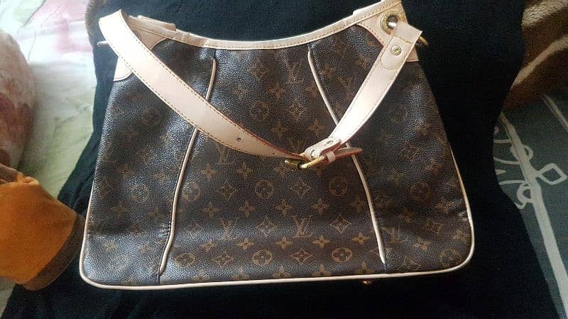 Louis Vuitton  Leather Bag 1