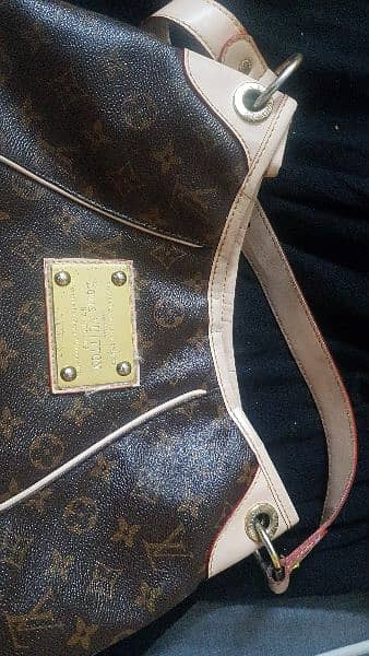 Louis Vuitton  Leather Bag 2