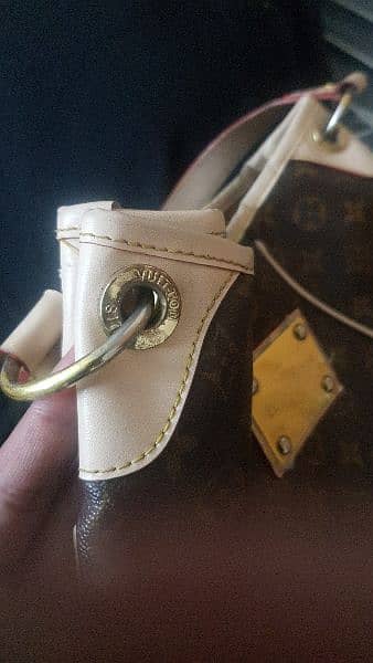 Louis Vuitton  Leather Bag 3
