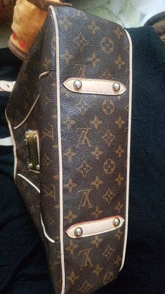 Louis Vuitton  Leather Bag 7