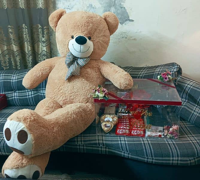 imported American teddy bear and Chinese available 03060435722 3