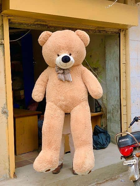 imported American teddy bear and Chinese available 03060435722 7