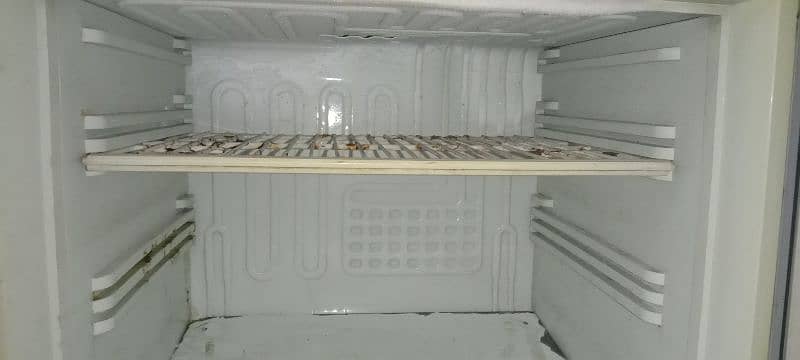 PEL FREEZER MEDIUM SIZE WITH STABILIZER 03026025619 0