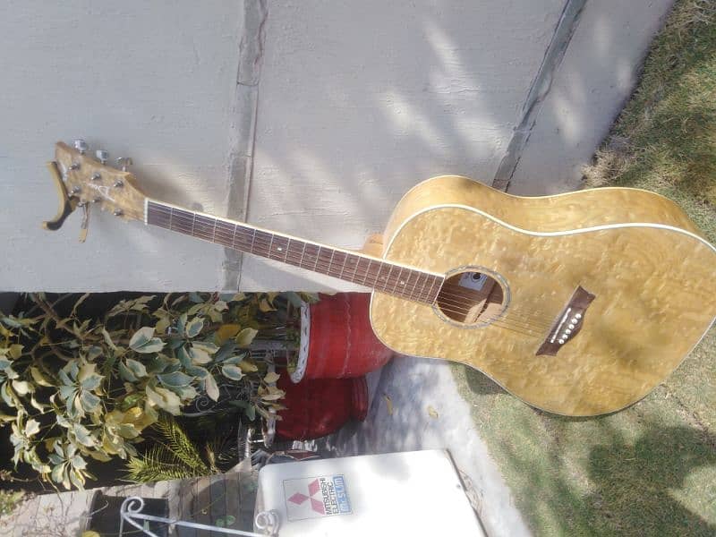 Imported Guitar 3