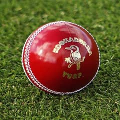 Cricket Hard Balls Red/White