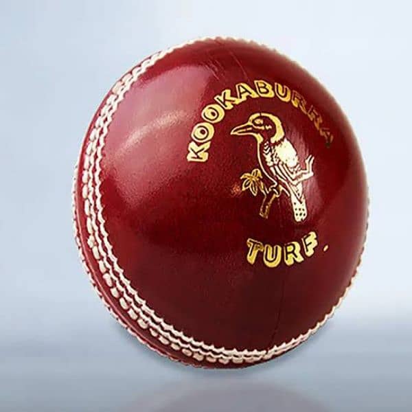 Cricket Hard Balls Red/White 4