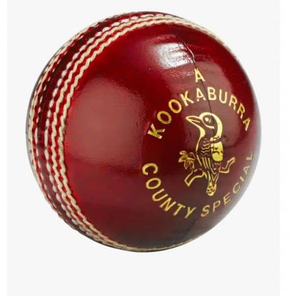 Cricket Hard Balls Red/White 6