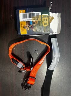 Dog hotsell belt olx