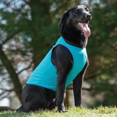 Dog Cooling Vest small c132