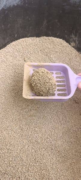 Cat Litter (Limited stock) 0