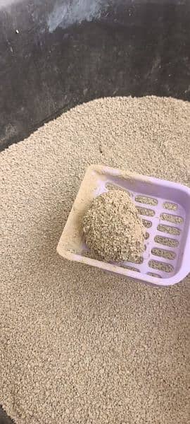 Cat Litter (Limited stock) 2