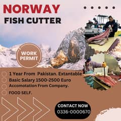 JOB OPPORTUNITY AS A FISH CUTTER IN NORWAY. 0