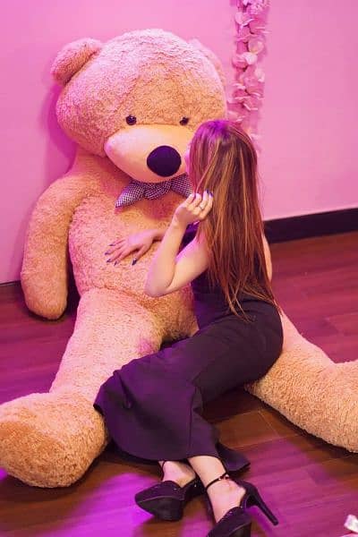 American teddy bear imported stuff available and Chinese 03060435722 1