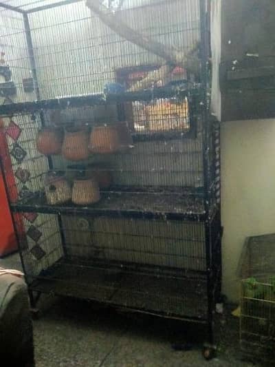 birds cage special raw grey parrot