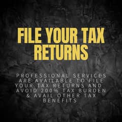 Professional Income Tax Return Filing