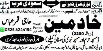 Vecancies Available / Job/Jobs /Jobs in Saudia Arabia / Staff Required