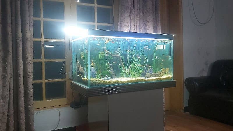 fish glass aquarium for sale ful setup 1