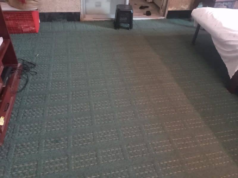 Carpet 0
