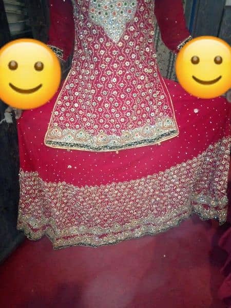 Bridal sharara 1