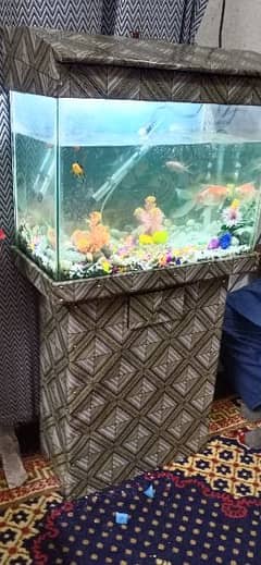 Aquarium with fishes 2/2