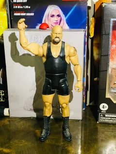 WWE action figure available for sale