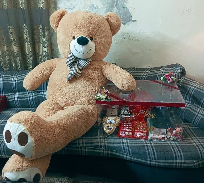 imported American teddy bear and Chinese available 03060435722 2