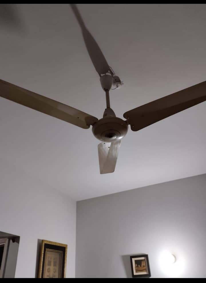 Ceiling Fans  56 inch 2