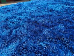 argent sale for carpet in good condition